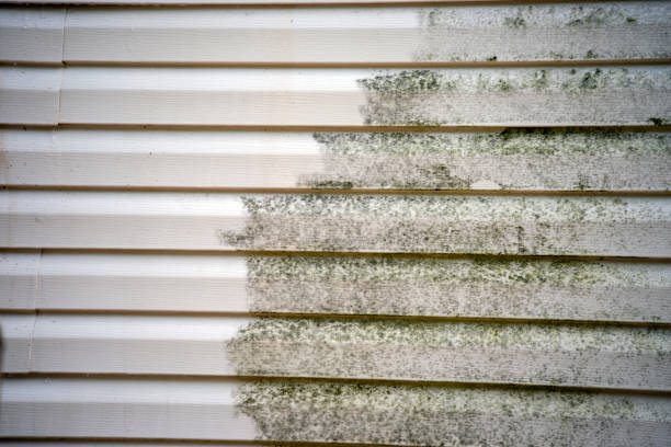 Affordable siding repair and maintenance services in St Michaels, MD